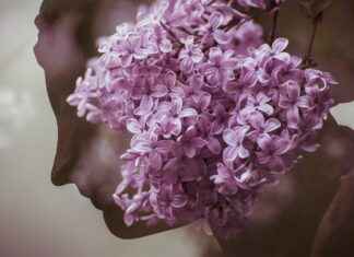 Double Bed Design with Storage: The Perfect Combination of Style and Function Double Bed Design with Storage: The Perfect Combination of Style and Function