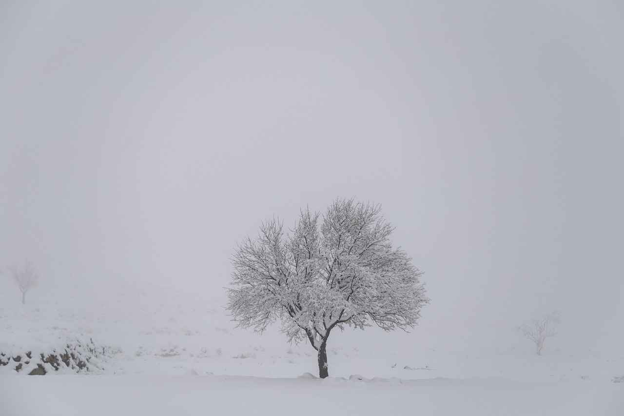 Legal Implications of Downloading Movies