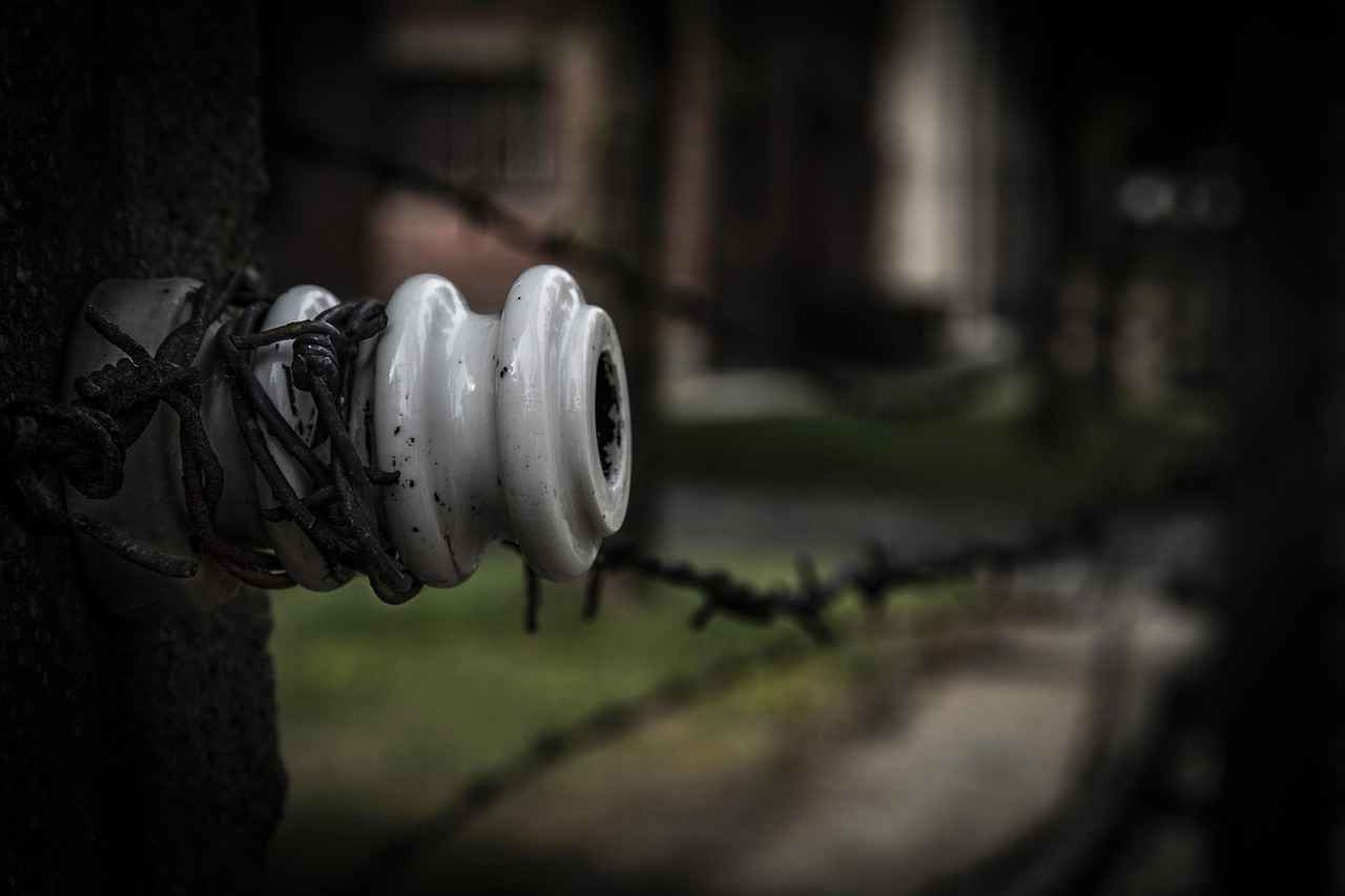 What Are Some Recommended Resources for Dr. Doom Fans?