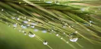 Drew Barrymore in the Nude: A Look at Her Boldest Roles Drew Barrymore in the Nude: A Look at Her Boldest Roles