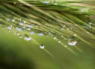 Drew Barrymore in the Nude: A Look at Her Boldest Roles Drew Barrymore in the Nude: A Look at Her Boldest Roles