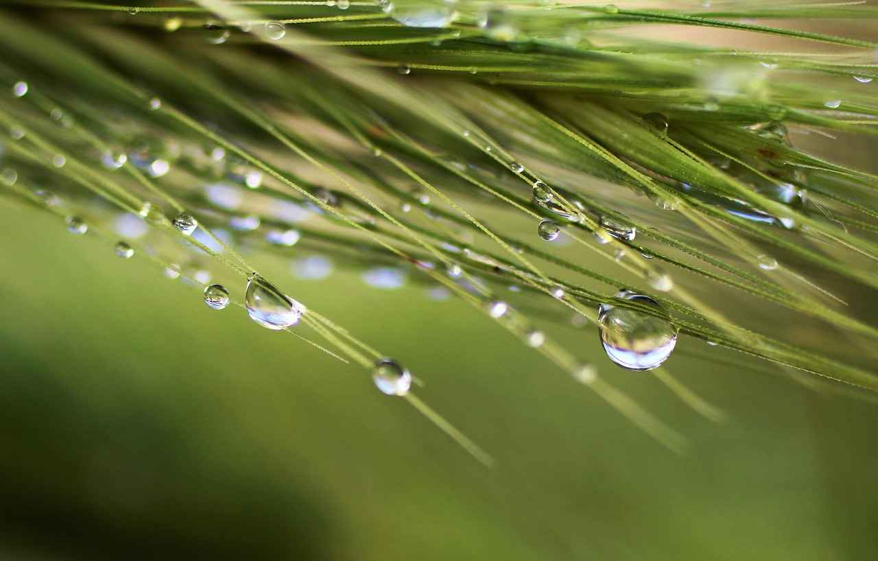 How Did 'Boys on the Side' Challenge Stereotypes?