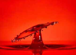 Drop Necklace Pearl: The Elegant Jewelry Trend You Need Drop Necklace Pearl: The Elegant Jewelry Trend You Need