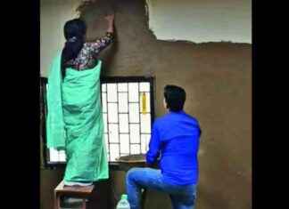 DU principal uses cow dung to cool classrooms in Delhi du-principal-uses-cow-dung-to-cool-classrooms-in-delhi