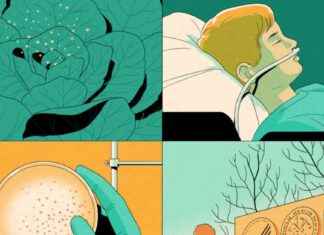 E. coli Outbreak in 15 States: FDA’s Silence Raises Concerns. e-coli-outbreak-in-15-states-fdas-silence-raises-concerns