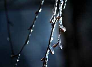 Earring Stacking 101: How to Mix & Match Like a Pro Earring Stacking 101: How to Mix & Match Like a Pro