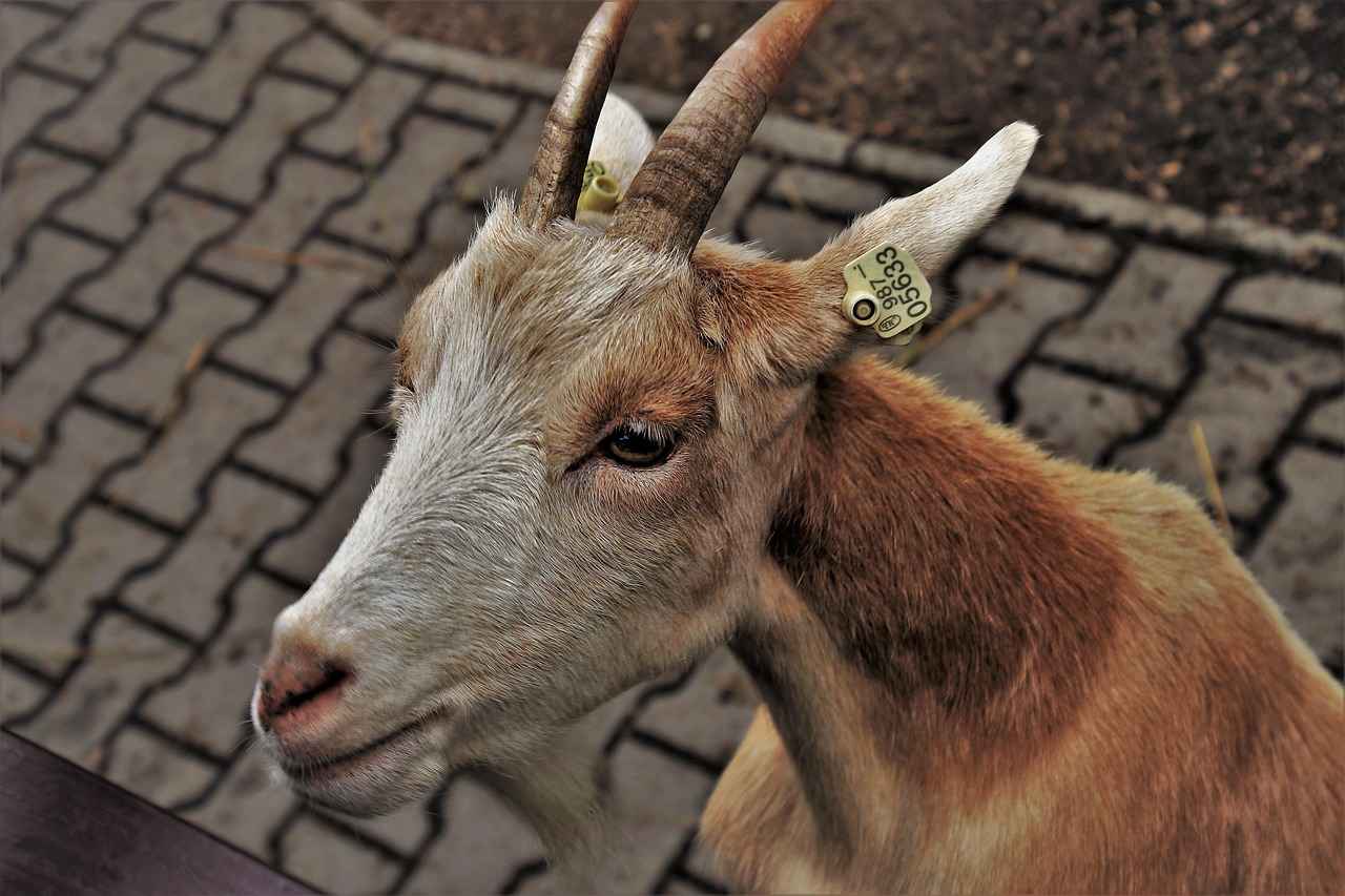 Earring Stacking 101: How to Mix & Match Like a Pro 9 Tips for Caring for Your Stacked Earrings