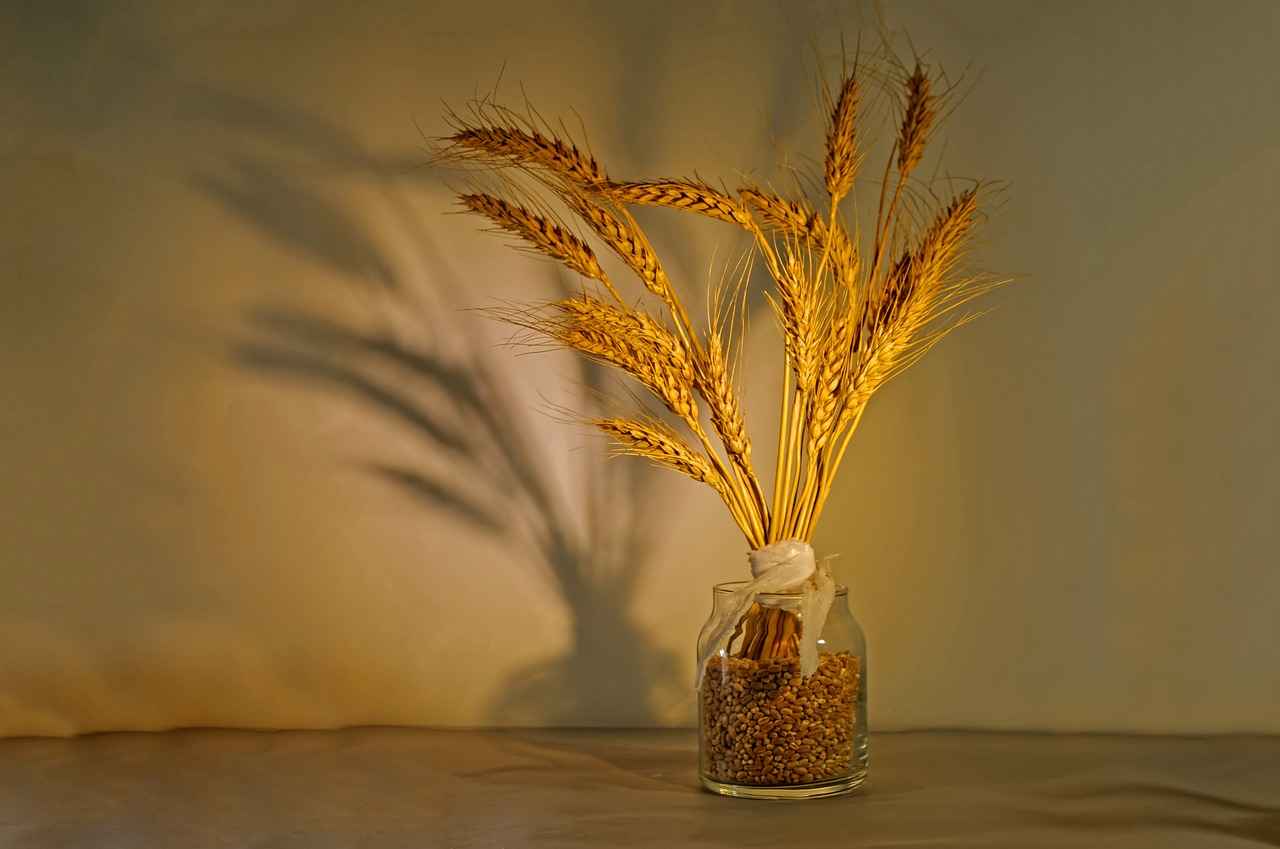 How Do Hoop Earrings Symbolize Unity?