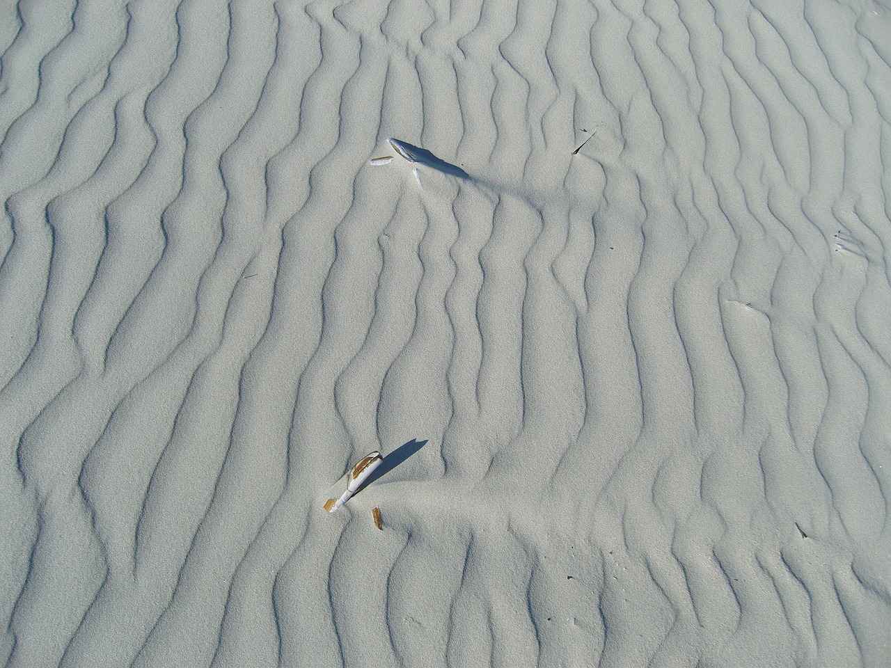 Which Haircuts Suit Wavy Hair Types?