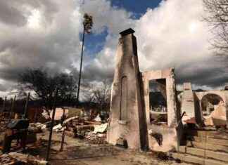 Edison to Bury 150+ Miles Power Lines After L.A. County Fires edison-to-bury-150-miles-power-lines-after-la-county-fires