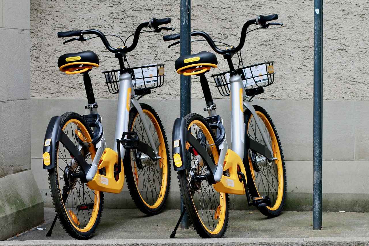 Top Electric Bike Rental Companies