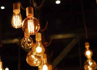 Electric vs. Manual Vegetable Choppers: Which One Is Right for You? Electric vs. Manual Vegetable Choppers: Which One Is Right for You?