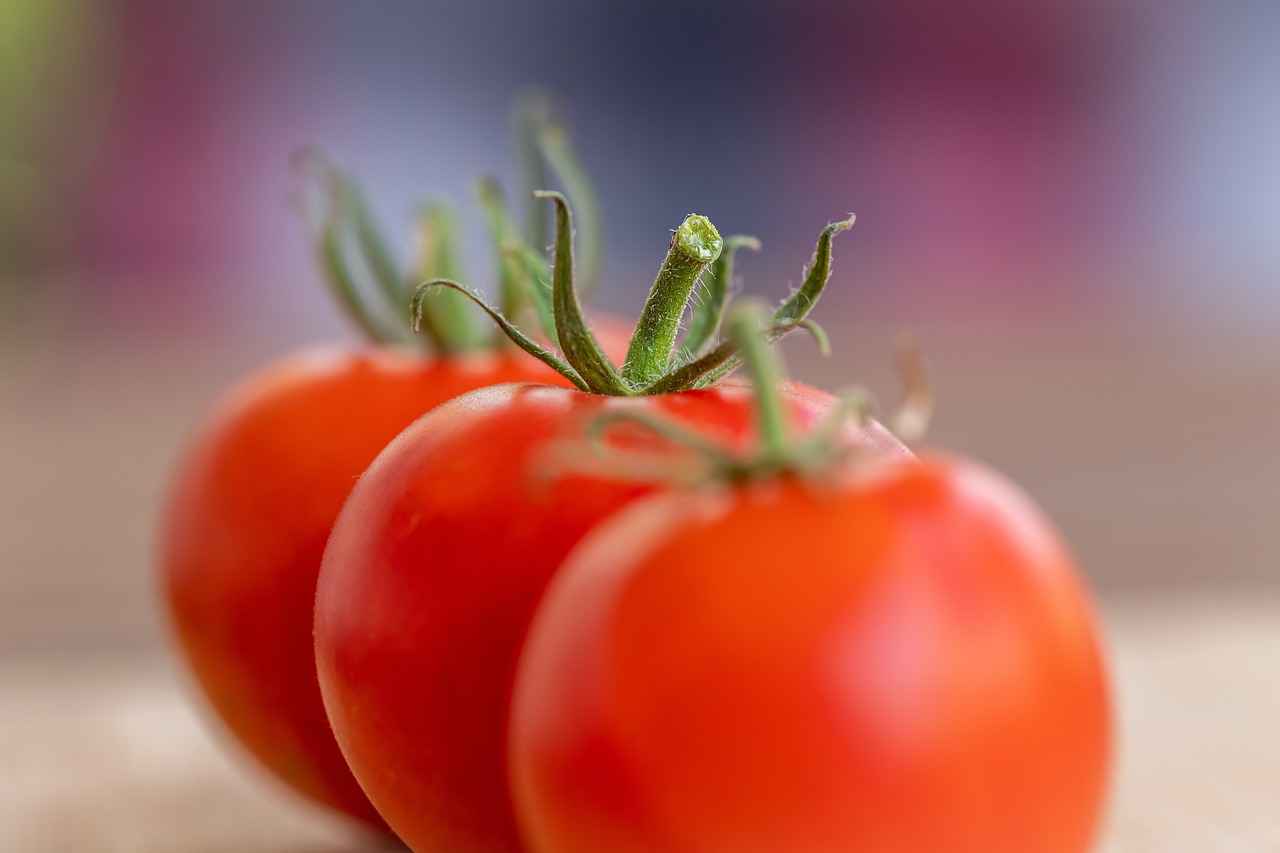 Electric vs. Manual Vegetable Choppers: Which One Is Right for You? 1 Understanding Vegetable Choppers