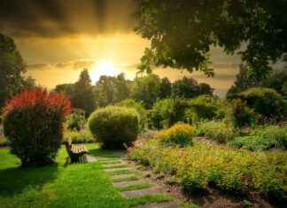 Elegant Plywood Bed Design Photos for Modern Interiors Elegant Plywood Bed Design Photos for Modern Interiors