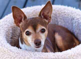 Elegant & Space-Saving Double Bed Design Ideas Elegant & Space-Saving Double Bed Design Ideas