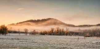 Ella Purnell Nude Scenes: What’s Real and What’s Fake? Ella Purnell Nude Scenes: What’s Real and What’s Fake?