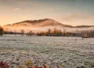 Ella Purnell Nude Scenes: What’s Real and What’s Fake? Ella Purnell Nude Scenes: What’s Real and What’s Fake?