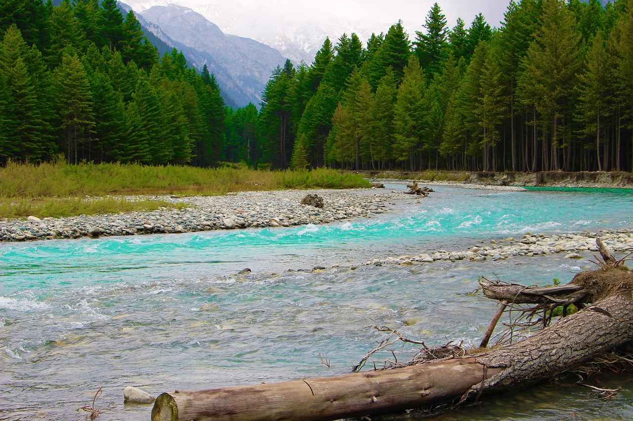 Emilia Clarke Nude Leaks: Real or AI-Generated? 4 What Are the Psychological Impacts of Nude Leaks on Celebrities?