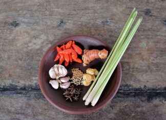 Enhancing Detoxification with Cilantro Extract Enhancing Detoxification with Cilantro Extract