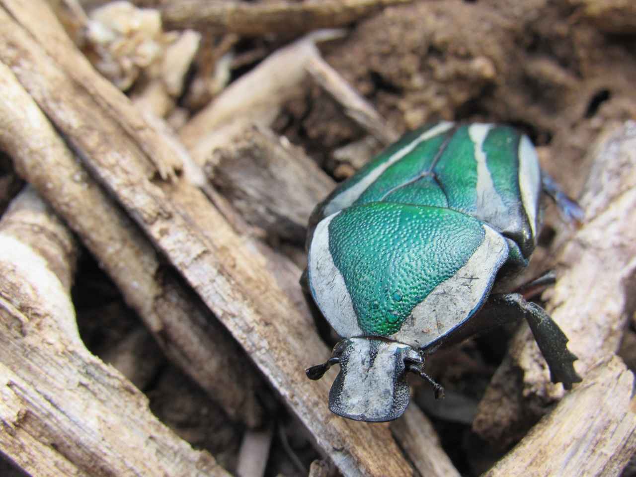 Eroke Uncovered: What Is It and Why It’s Trending 8 Content Creation on Eroke