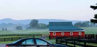 European Car Repair Near Me: Top Local Shops Reviewed European Car Repair Near Me: Top Local Shops Reviewed