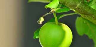 Eva Green Nude Filmography: Art or Exploitation? Eva Green Nude Filmography: Art or Exploitation?