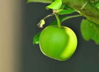 Eva Green Nude Filmography: Art or Exploitation? Eva Green Nude Filmography: Art or Exploitation?