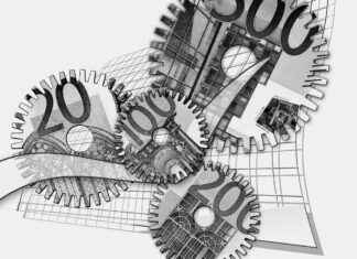 Everything You Need to Know About SBA Loans for Small Businesses Everything You Need to Know About SBA Loans for Small Businesses