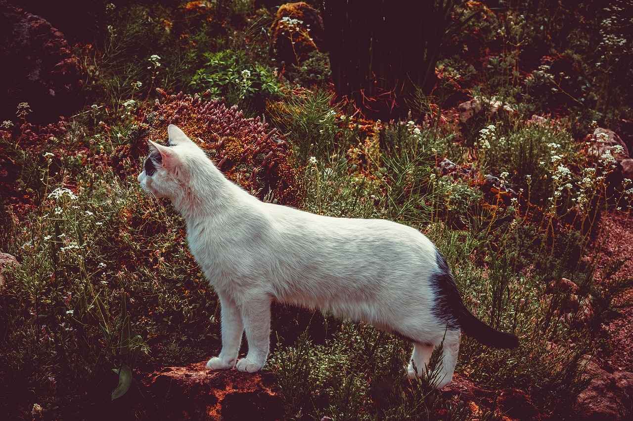 Expert Tips on Choosing the Perfect Farnichar Bed Design 1 Understanding Farnichar Bed Designs