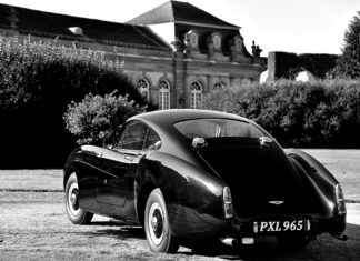 Exploring Metabolic Support with White Mulberry Leaf Extract Exploring Metabolic Support with White Mulberry Leaf Extract