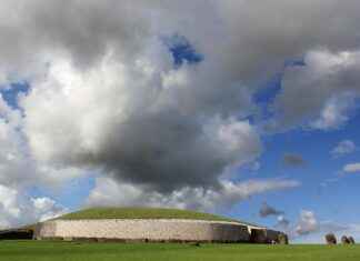 Exploring Resveratrol’s Role in Anti-Aging and Heart Health Exploring Resveratrol's Role in Anti-Aging and Heart Health