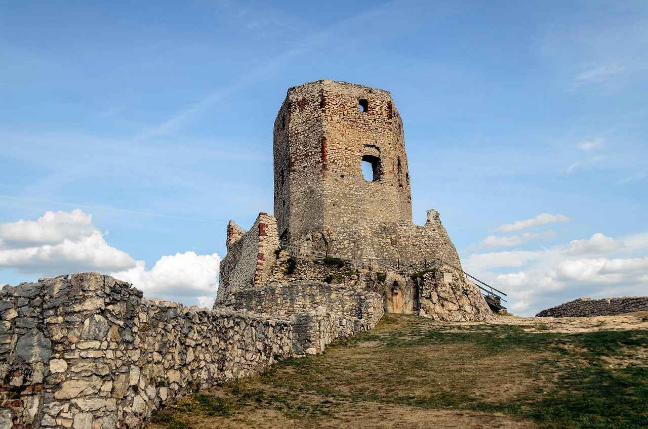 Conclusion: The Future of Resveratrol Research