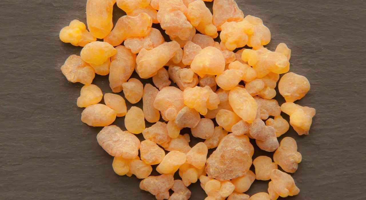 How to Use Boswellia Serrata