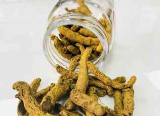 Exploring the Anti-Inflammatory Benefits of Curcumin Capsules Exploring the Anti-Inflammatory Benefits of Curcumin Capsules