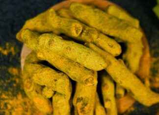 Exploring the Anti-Inflammatory Benefits of Turmeric Root Exploring the Anti-Inflammatory Benefits of Turmeric Root