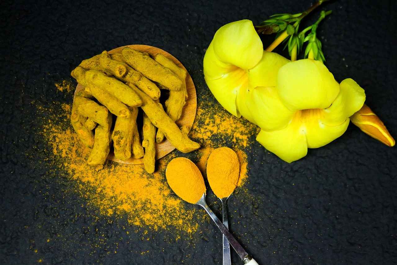 Exploring the Anti-Inflammatory Benefits of Turmeric Root 5 Conclusion: The Future of Turmeric Research