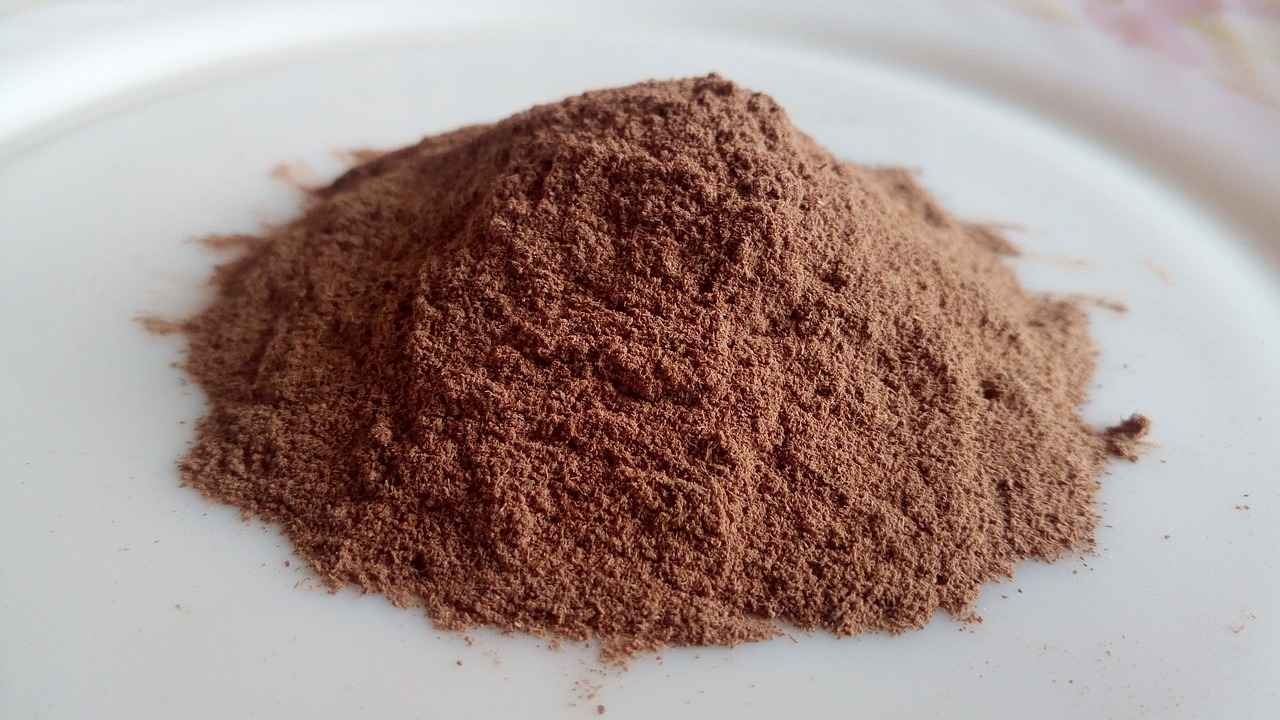 Conclusion: The Future of Pine Bark Extract in Health
