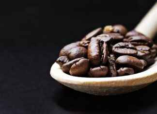Exploring the Antioxidant Benefits of Green Coffee Bean Extract Exploring the Antioxidant Benefits of Green Coffee Bean Extract