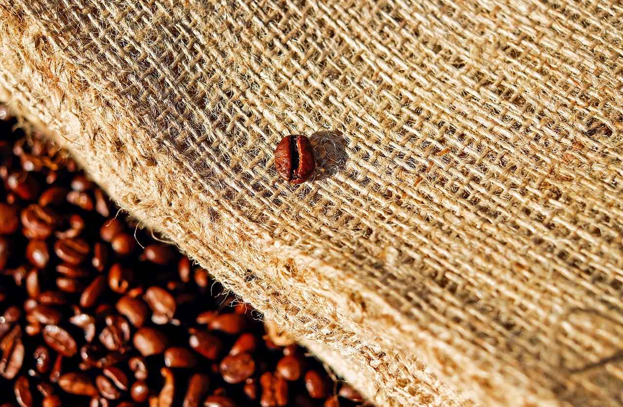 What are Green Coffee Beans?