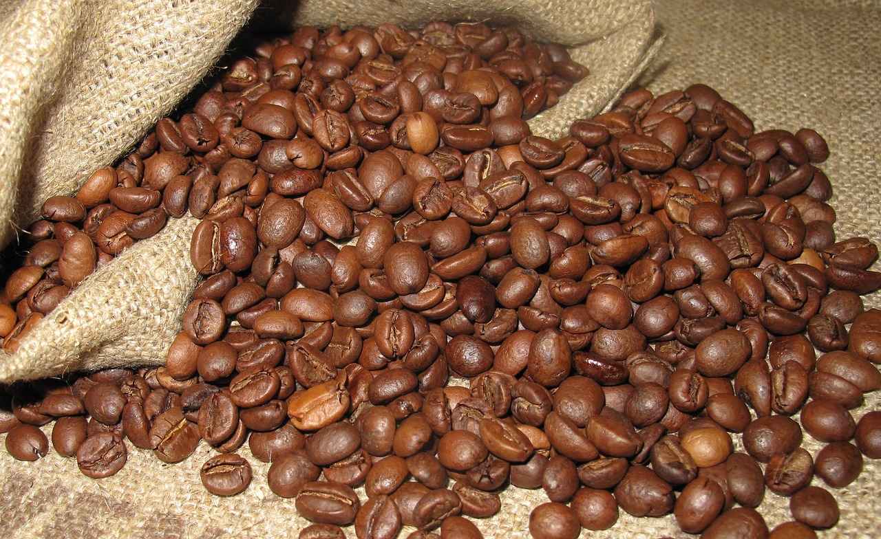Potential Health Benefits of Green Coffee Bean Extract