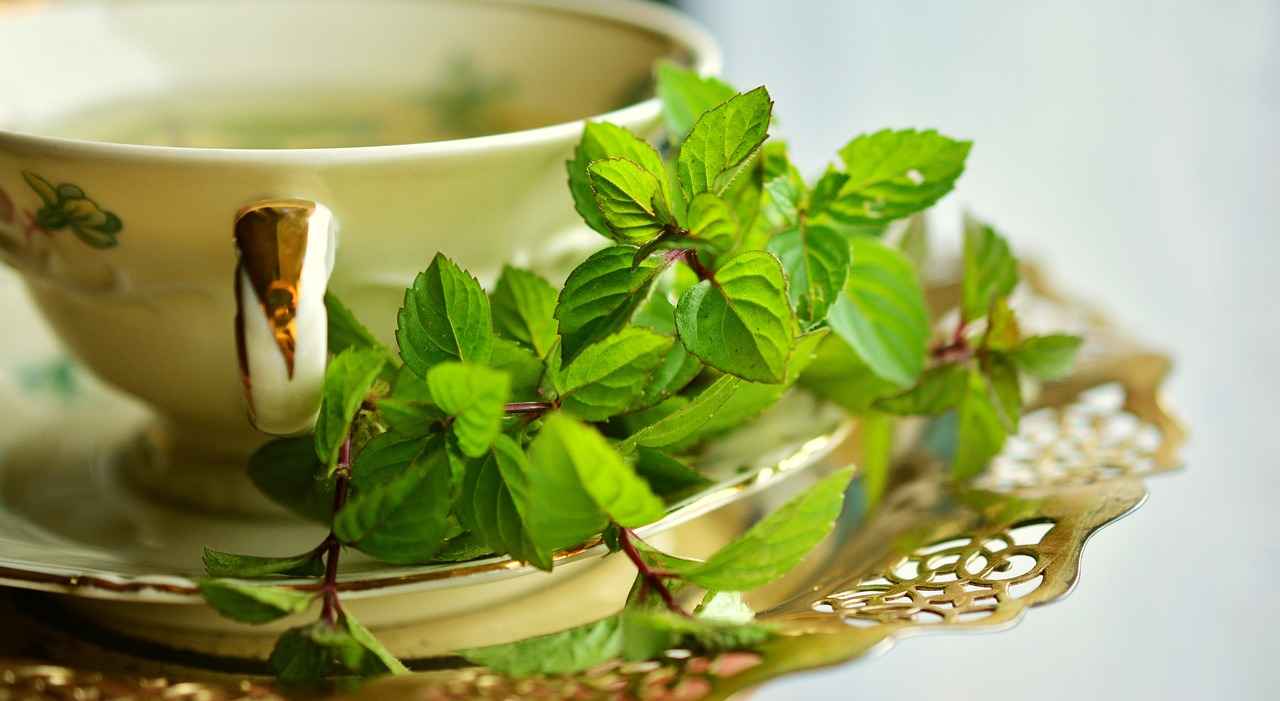 Exploring the Antioxidant Benefits of Green Tea Extract 3 Antioxidant Properties of Green Tea Extract