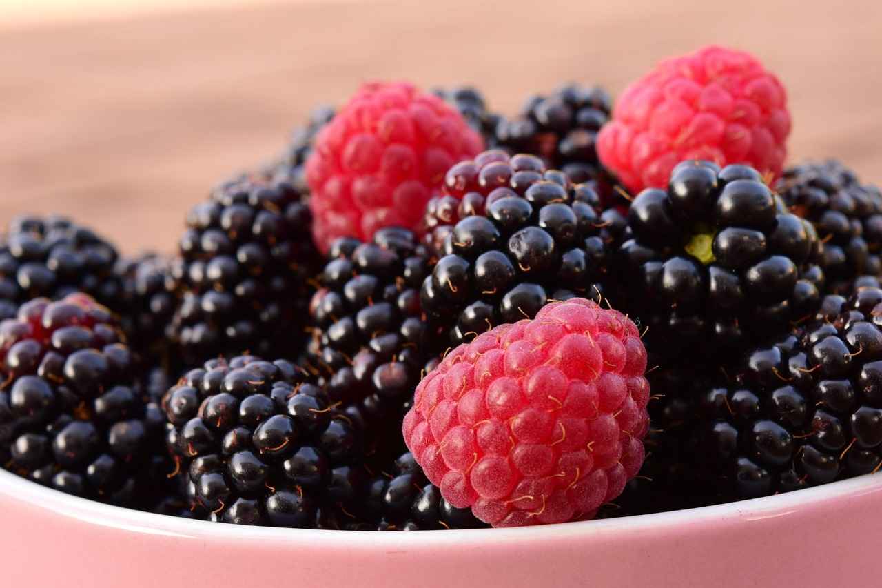 Exploring the Antioxidant Properties of Amla Berry 4 How to Incorporate Amla Berry into Your Diet