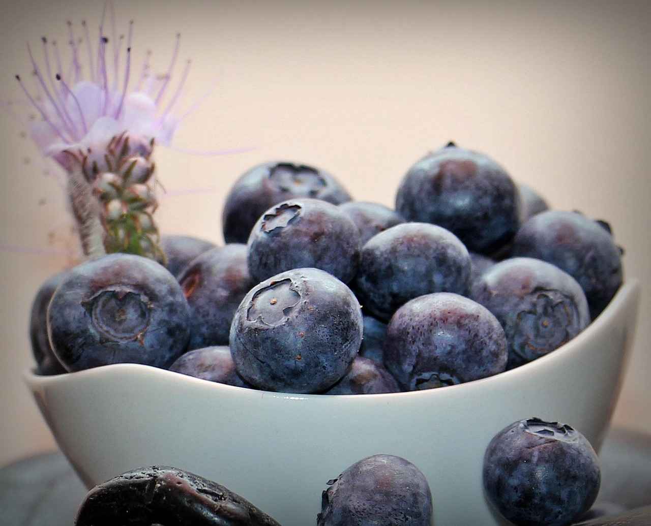 Exploring the Antioxidant Properties of Amla Berry 6 Conclusion: The Power of Amla Berry