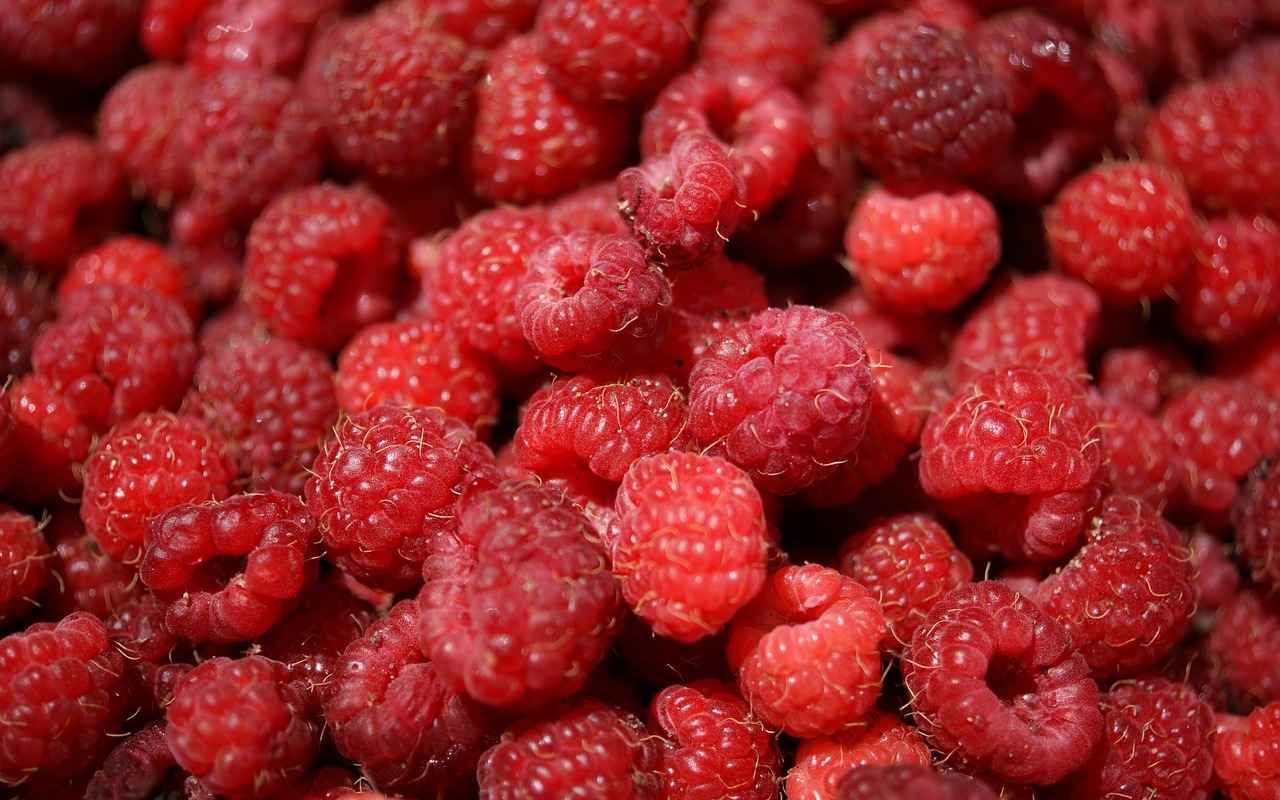 Exploring the Antioxidant Properties of Amla Berry 3 Nutritional Profile of Amla Berry