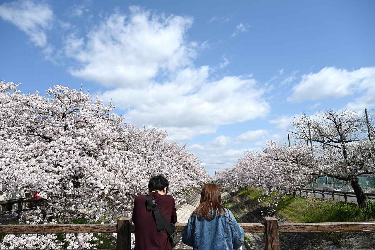 Recommended Dosage of Tart Cherry Supplements