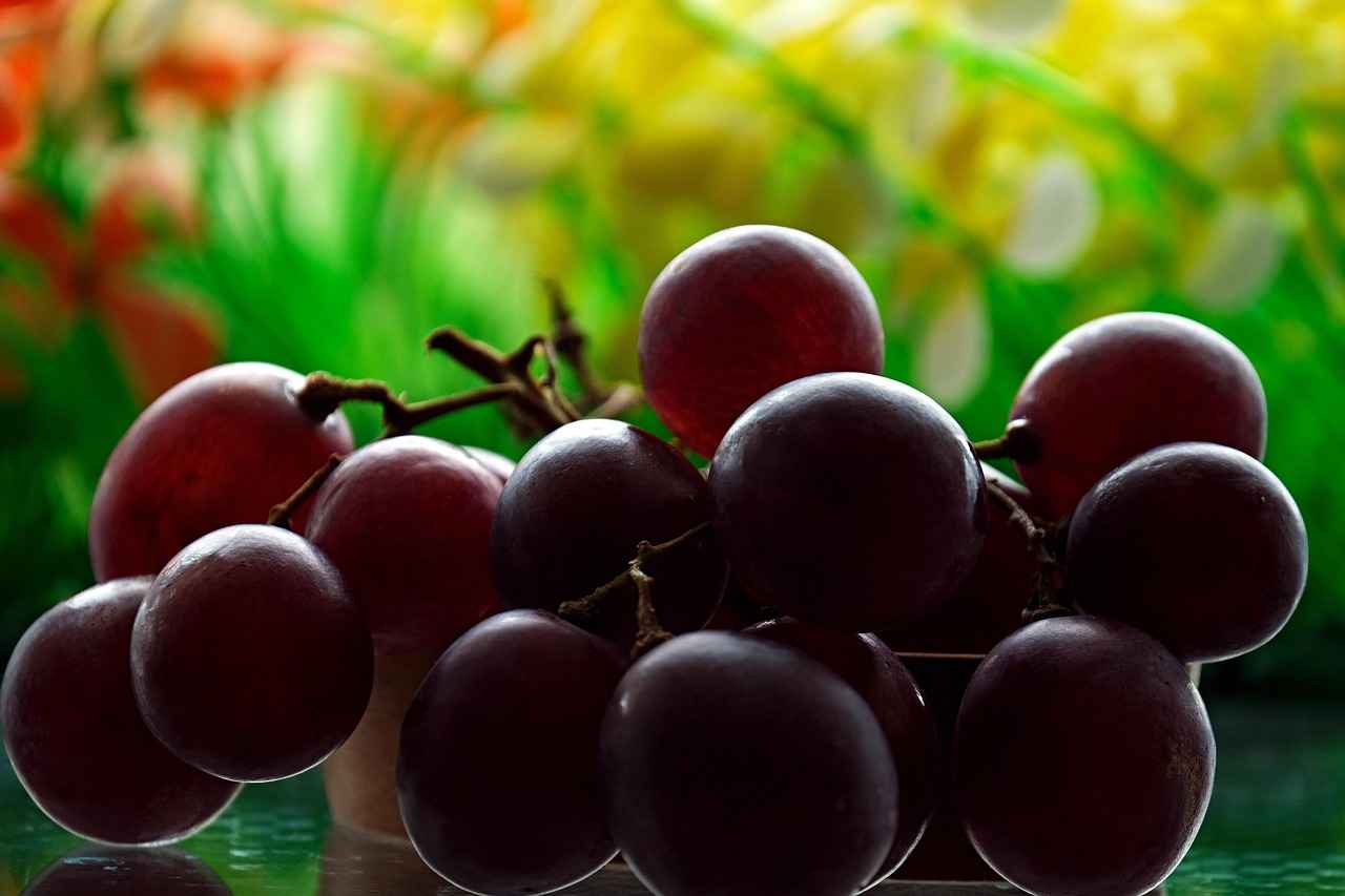 Supplementation and Safety