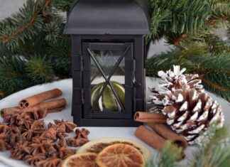 Exploring the Blood Sugar-Balancing Effects of Cinnamon Bark Exploring the Blood Sugar-Balancing Effects of Cinnamon Bark