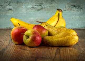 Exploring the Bone Density Benefits of Hydroxyapatite Exploring the Bone Density Benefits of Hydroxyapatite