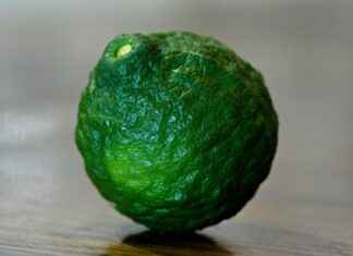 Exploring the Bone Rebuilding Effects of Vitamin D Supplements Exploring the Bone Rebuilding Effects of Vitamin D Supplements