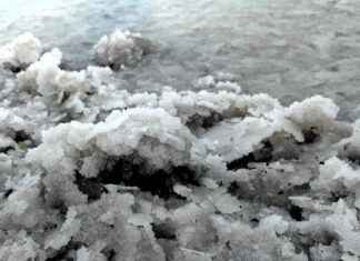 Exploring the Cardiovascular Benefits of Magnesium Taurate Exploring the Cardiovascular Benefits of Magnesium Taurate